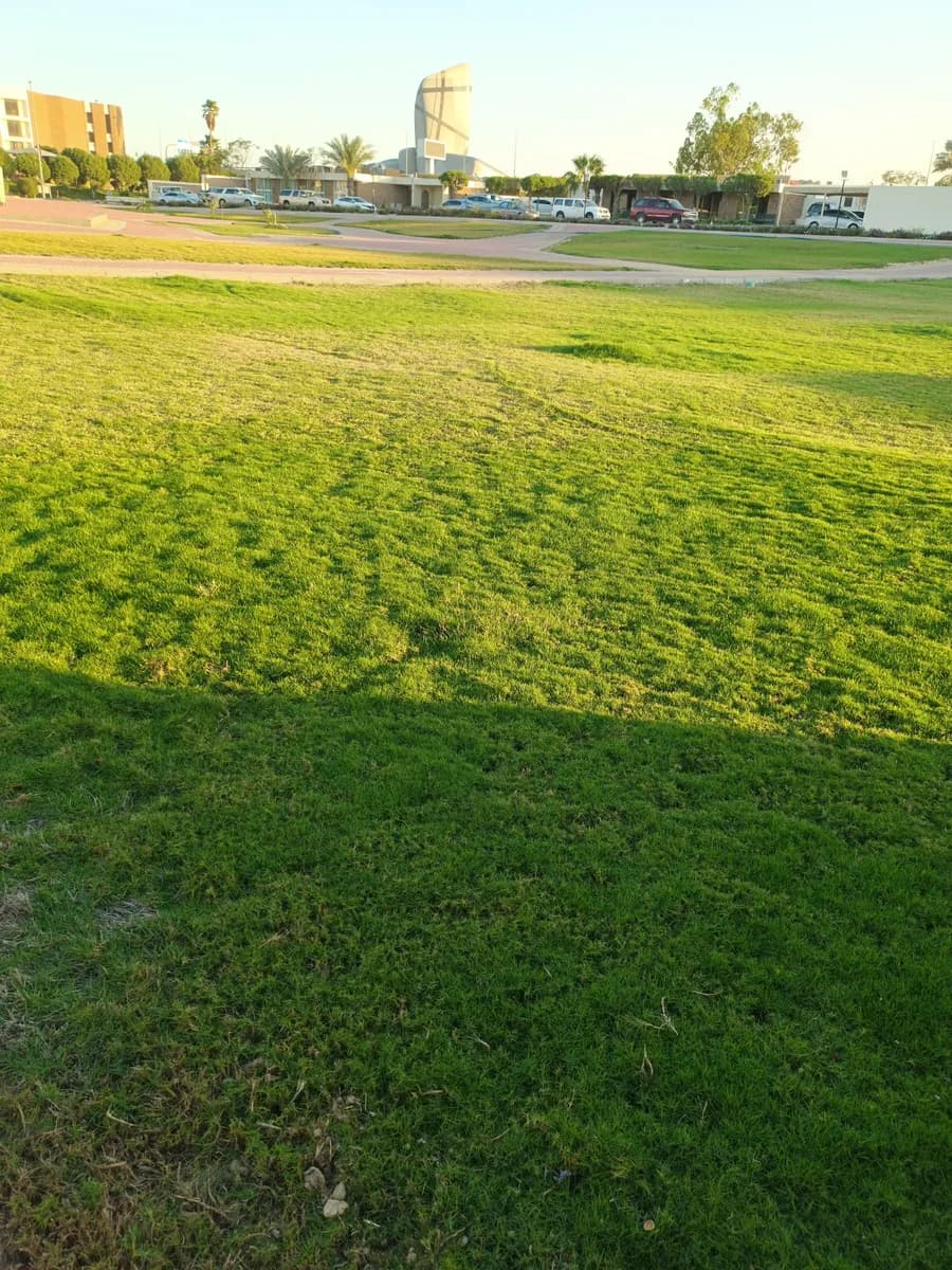 Dhahran General Hospital — صورة 4