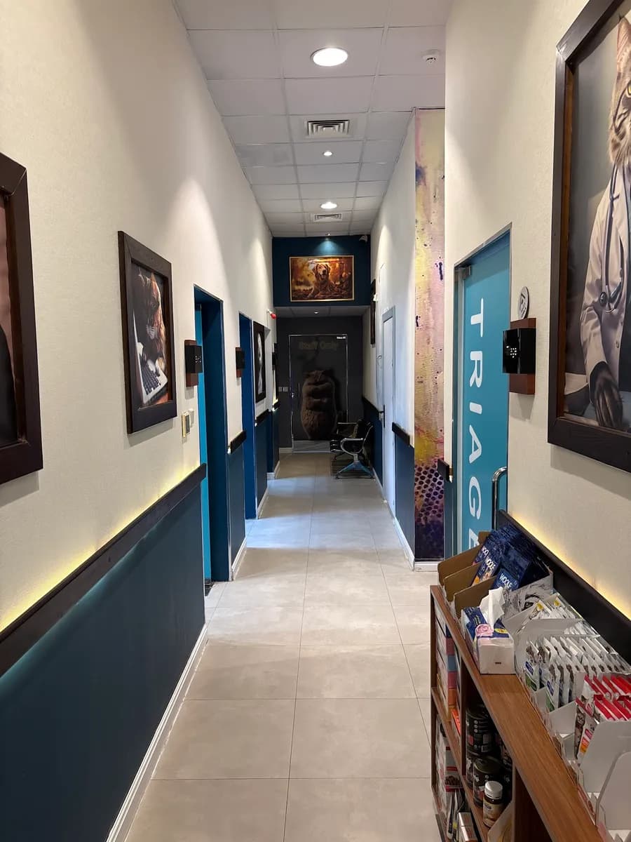 عيادة الفن الثامن البيطرية Art No. 8 Vet Clinic — صورة 6