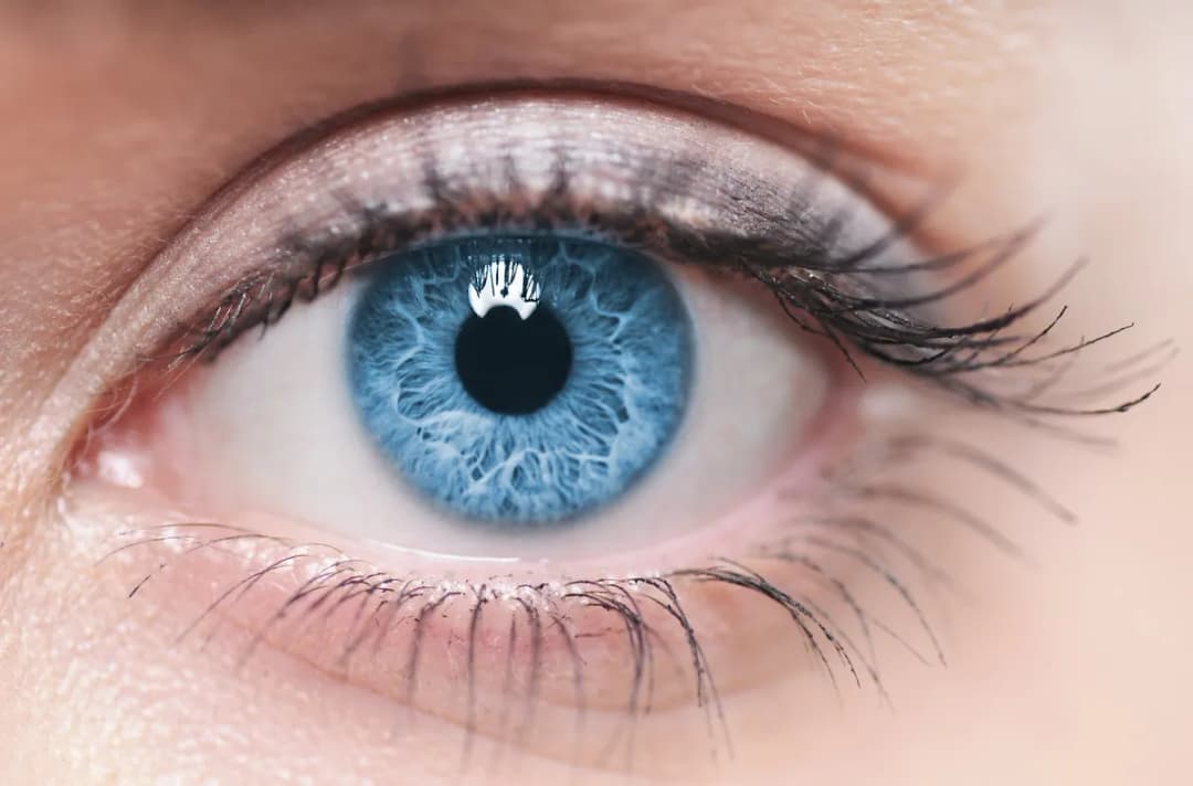 International Center of Ophthalmology