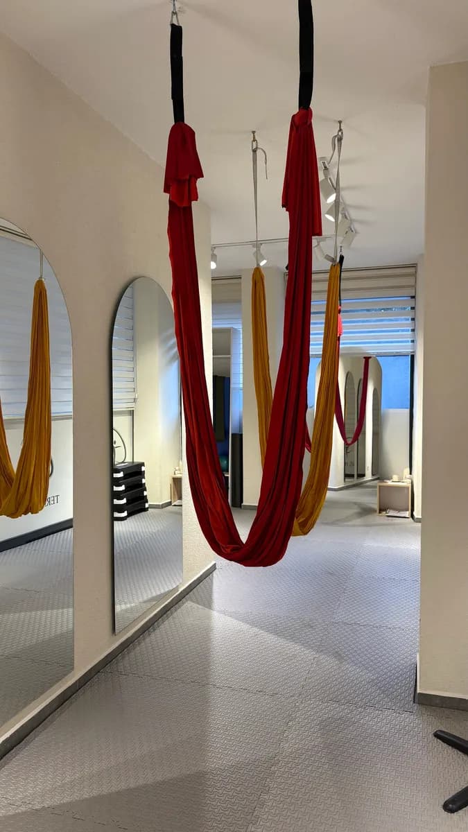 Terapisen Sağlıklı Yaşam Merkezi — Physiotherapy & Rehabilitation in Istanbul