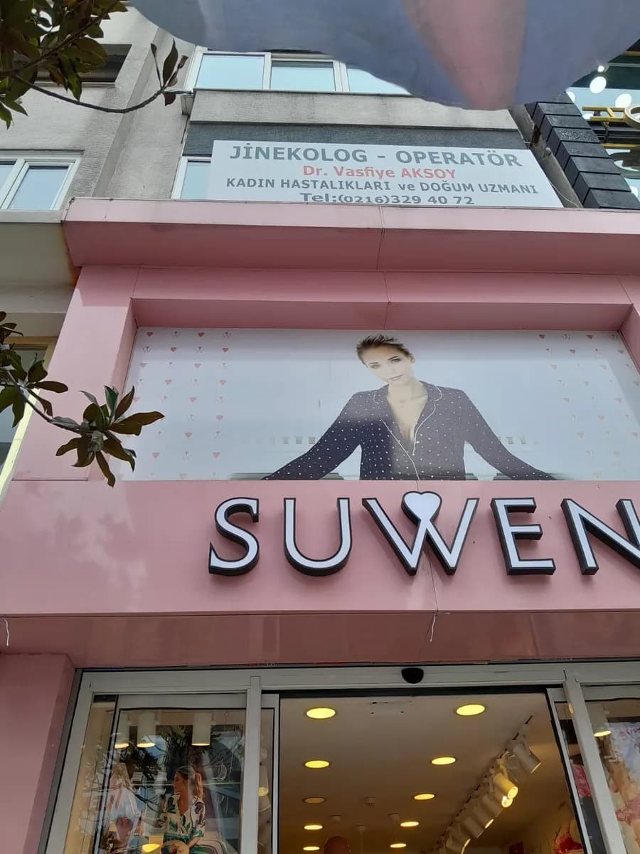 Jin. Op. Dr. Vasfiye Aksoy kadın hastalıkları uzmanı kürtaj | Labioplasti | Vajinoplasti | vajinismus tedavisi ümraniye | — Fertility & IVF in Istanbul
