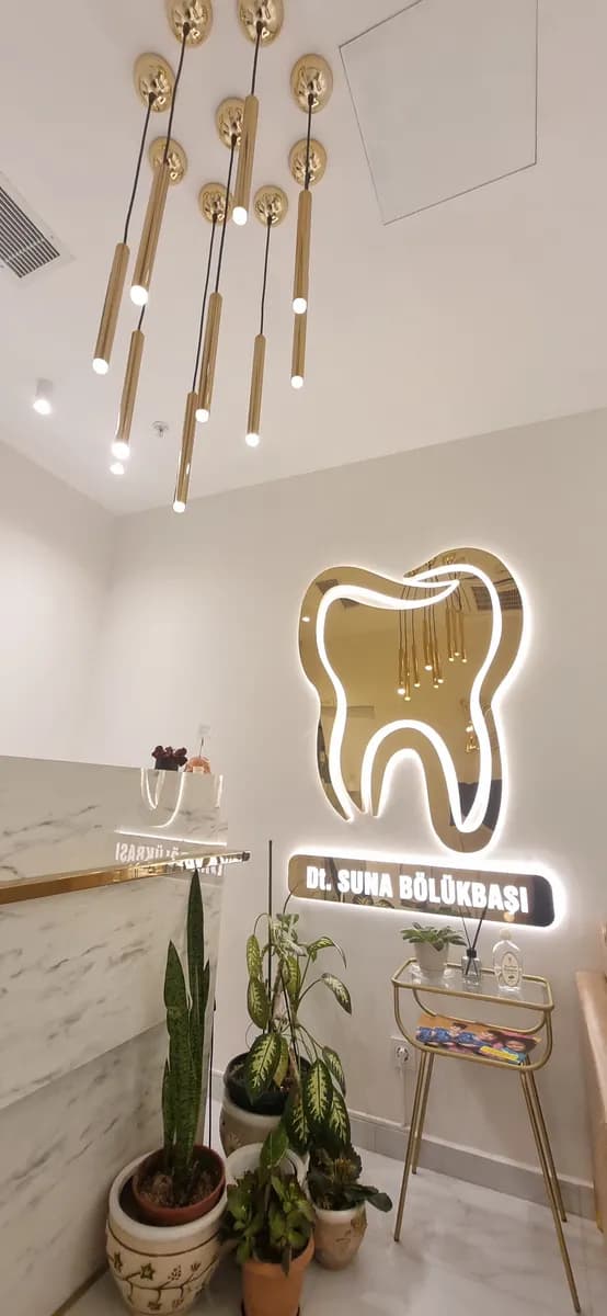 Dr. Suna Bolukbasi Aydemir — Dental Clinics in Istanbul