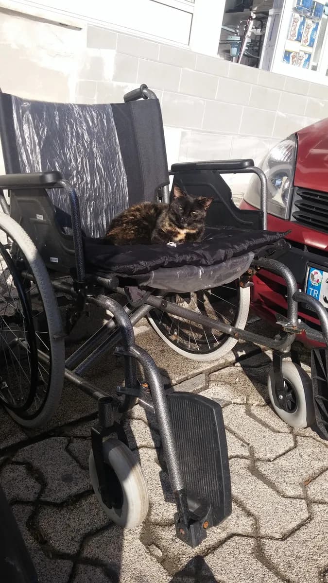 Wheel Chair Istanbul