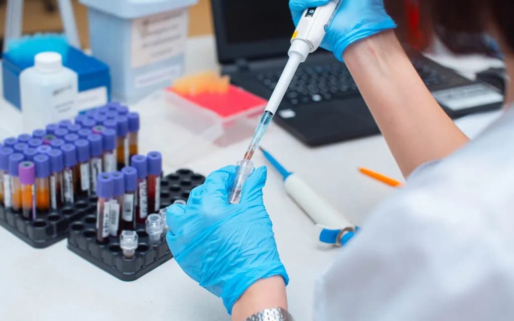 İstanbul Central Laboratory مخبر إسطنبول المركزي — Labs & Diagnostics in Istanbul