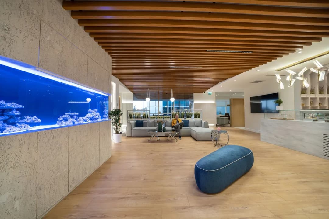 Dental Institute of Istanbul — Dental Clinics in Istanbul