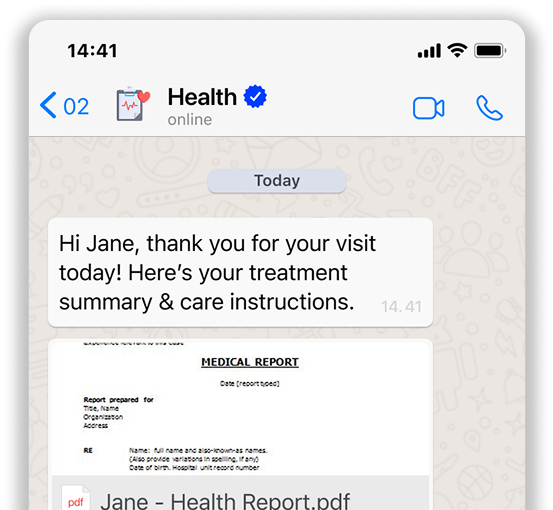 WhatsApp Pay interface